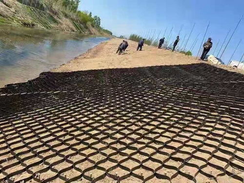 斜坡固土绿化种植土工格室10公分高度HDPE材质陡坡防滑土网格